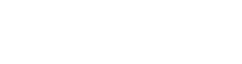 Nauta