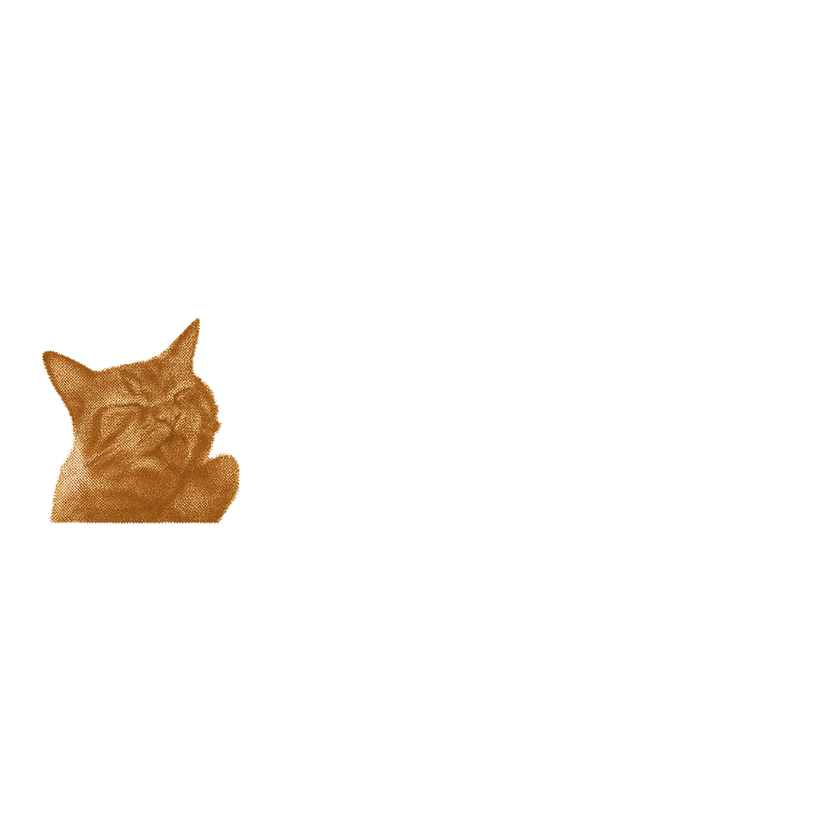 indies.cl