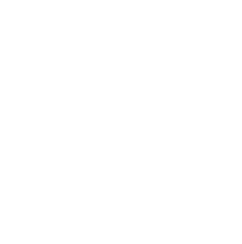 Morris opazo