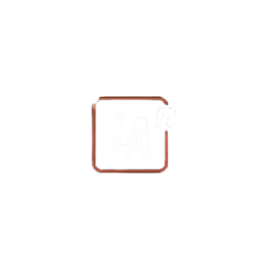Lan Accelerator