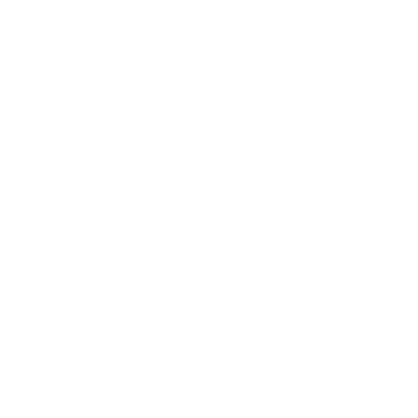 Xepelin