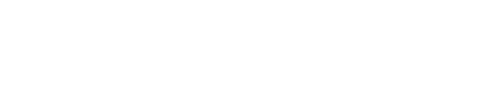 Fundación Chile